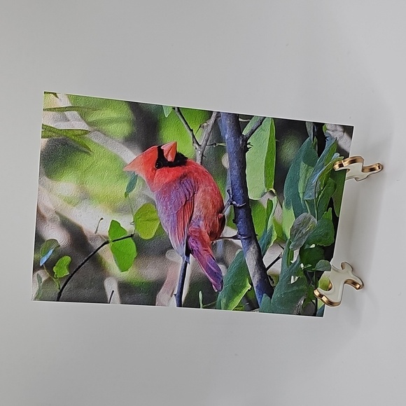 4x6 Red‎ Cardinal Bird on a Limb Art Print - Picture 4 of 4